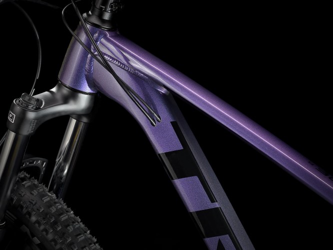 purple trek bike